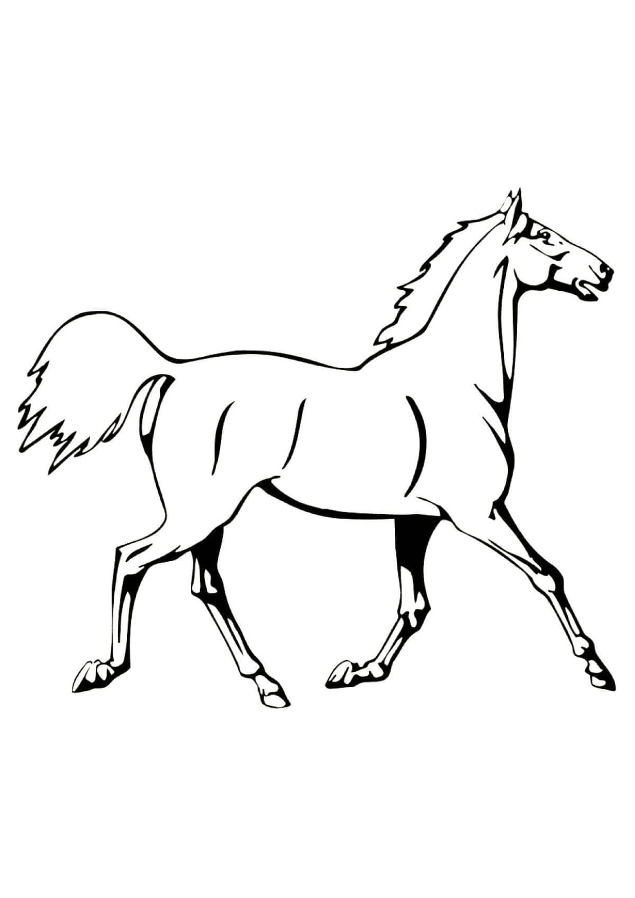 Раскраска лошадь