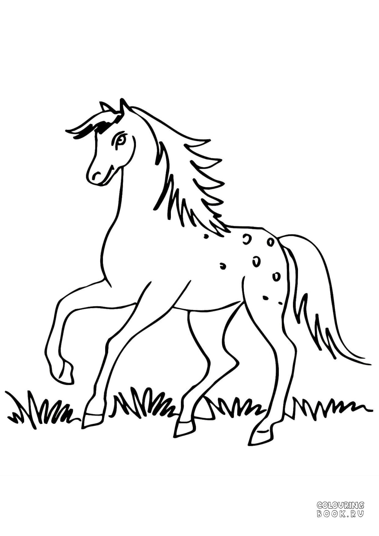 Раскраска Лошадка пони – Развивающие иллюстрации