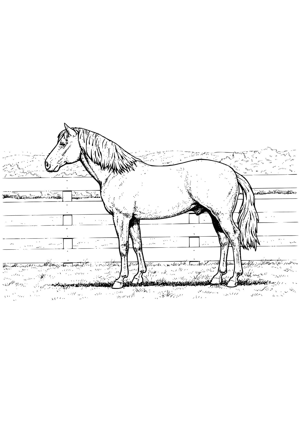 Картинки лошадей для раскрашивания (44 фото)